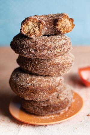 7-SAV154-Recipe-cider-donuts-500x750