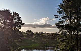 Views – Looking North West