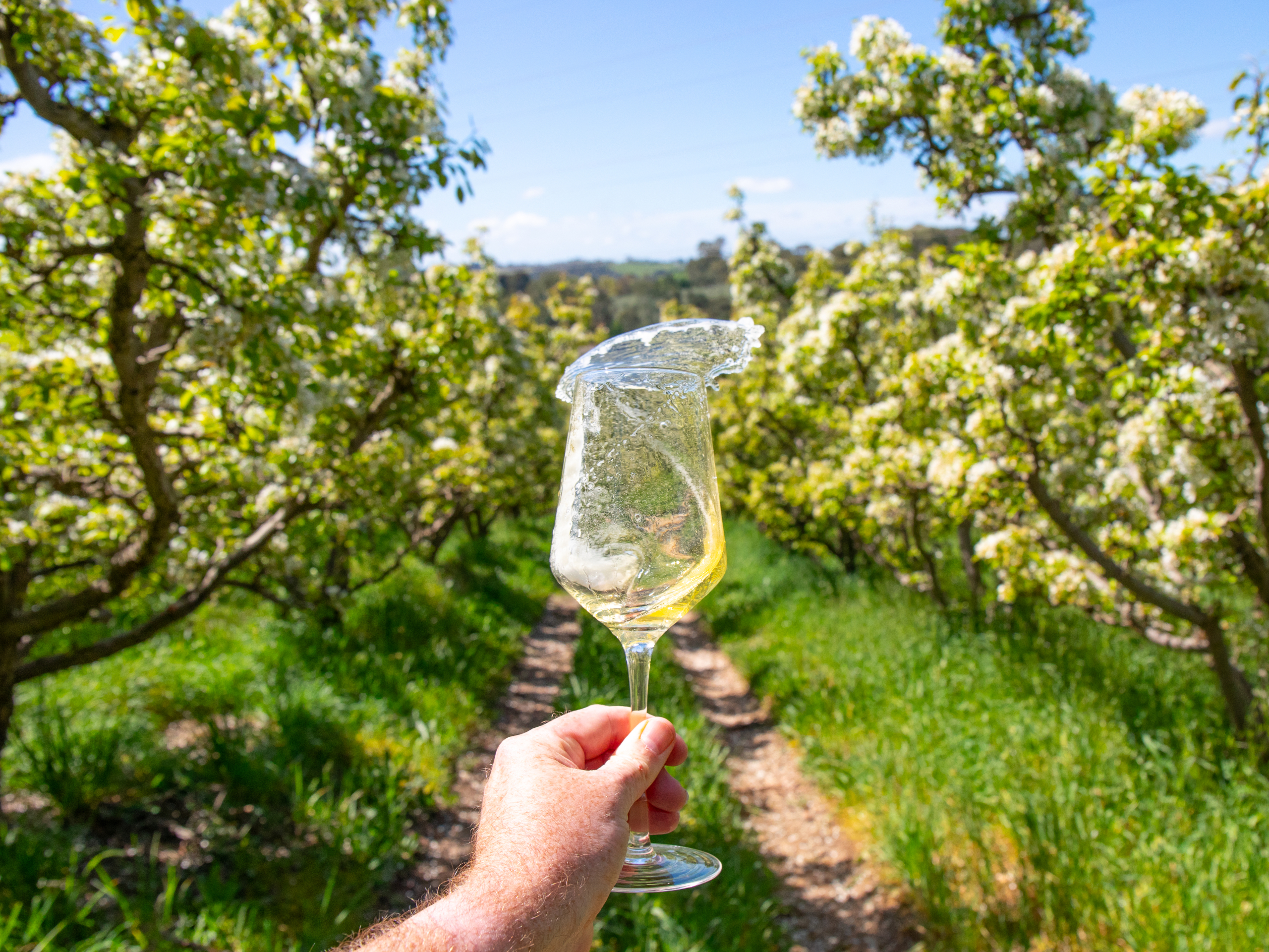 Paracombe Premium Perry - Tour and Tasting Experience Adelaide Hills