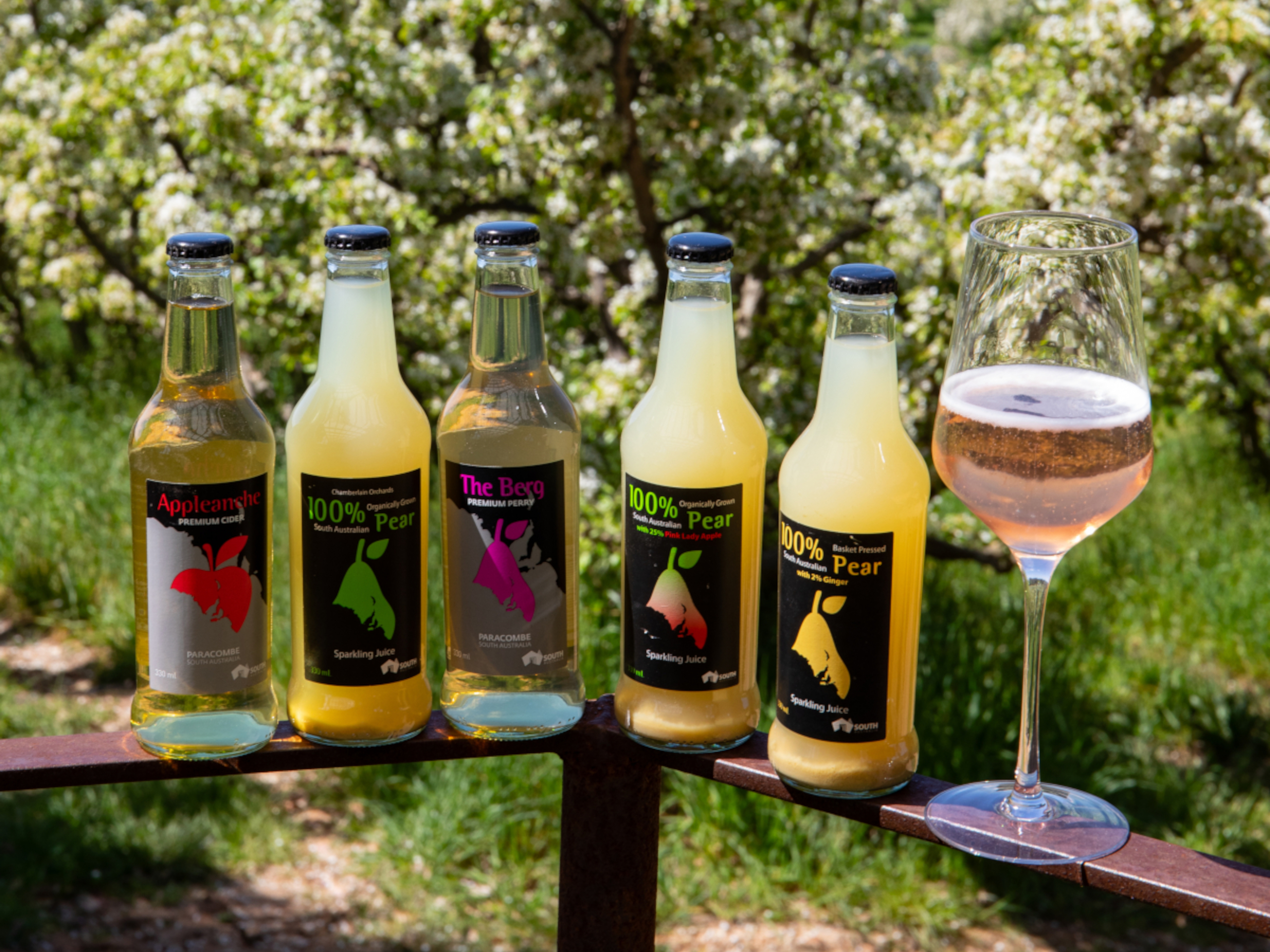 Paracombe Premium Perry - Tour and Tasting Experience - Adelaide Hills Cider