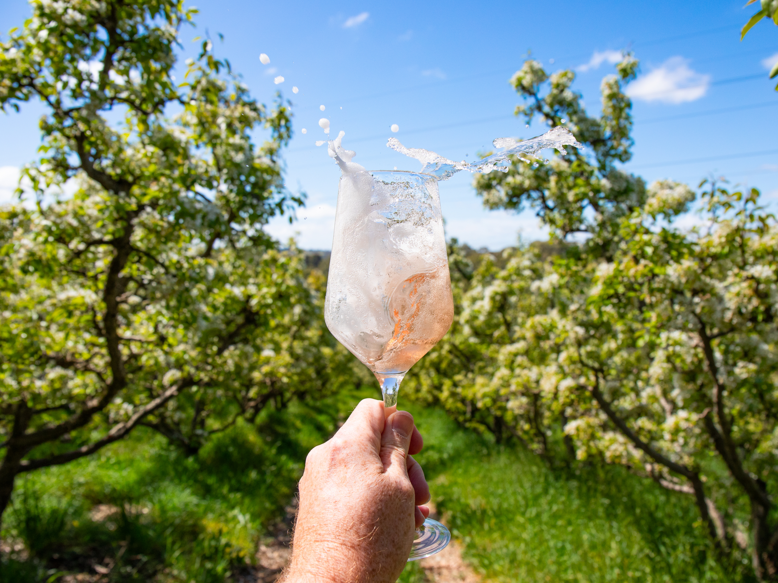 Paracombe Premium Perry - Tour and Tasting Experience Adelaide Hills